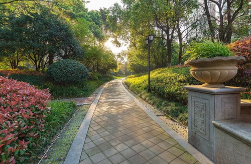 走出園林綠化建設(shè)的迷思 城市綠化工程中的常見誤區(qū)與改善路徑